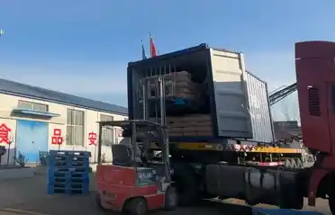 Qinhuangdao Tongyou Potato Industry verschifft 10 Container Export-Süßkartoffelstärke nach Südkorea