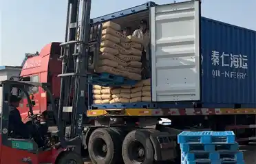 Warum importieren südkoreanische Käufer Süßkartoffelstärke aus Lulong? Ein Blick auf den Verlade- und Versandprozess bei Tongyou Potato Industry